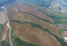 Këto vreshta mahnitëse nuk janë as në Francë e Itali, por dy fshatra shqiptarë