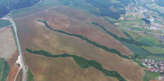 Këto vreshta mahnitëse nuk janë as në Francë e Itali, por dy fshatra shqiptarë