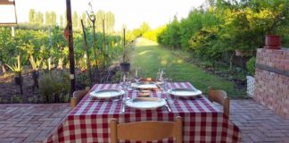 Nga domatet, gështenjat e shegët – produktet që kompanitë vlerësojnë si potencial në Shqipëri