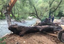 Aksion pastrimi tek Syri i Kaltër