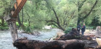 Aksion pastrimi tek Syri i Kaltër