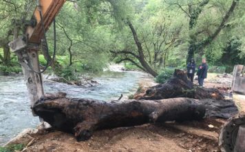 Aksion pastrimi tek Syri i Kaltër