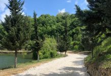 Nis puna për ndërtimin e pedonales dhe korsisë së biçikletave tek liqeni i Belshit