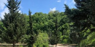 Nis puna për ndërtimin e pedonales dhe korsisë së biçikletave tek liqeni i Belshit