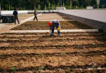 Përurohet Parku Japonez në Korçë