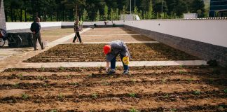 Përurohet Parku Japonez në Korçë