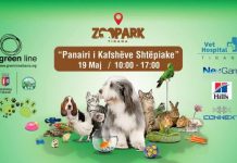 Rikthehet sot “Panairi i Kafshëve Shtëpiake”