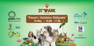 Rikthehet sot “Panairi i Kafshëve Shtëpiake”