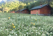 “Farma Sotira” një histori suksesi në agroturizëm