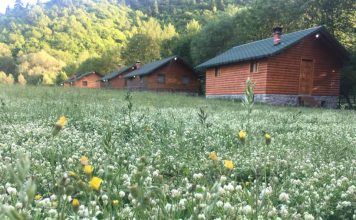 “Farma Sotira” një histori suksesi në agroturizëm