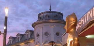 Prishtina, qendra e kinematografisë. “Prifest”, në garë filma nga e gjithë bota