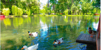 Parku Ujor Drilon-Tushemisht, atraksioni më i ri ekoturistik në Pogradec