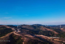 Këto pamje nuk janë as në Holandë e as në Itali, por në trojet shqiptare (Fotot)