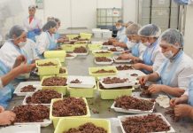 Përfitojnë 200 kompani, BE jep 25 milionë euro për SME-të shqiptare