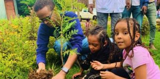 Rekordi i ri botëror/ Ja shteti që mbolli më shumë se 350 milionë pemë në 12 orë