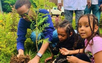 Rekordi i ri botëror/ Ja shteti që mbolli më shumë se 350 milionë pemë në 12 orë