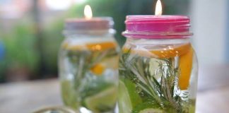 Të gjithëve na shqetësojnë në verë, ja “ilaçi” magjik që largon mushkonjat