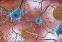 Revolucion në shkencë, zbulohet deshifruesi i trurit