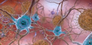 Revolucion në shkencë, zbulohet deshifruesi i trurit