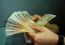 Dalin të dhënat/ Ja cilat janë profesionet më të paguara në Shqipëri