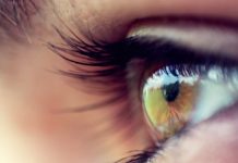 Rikthimi i shikimit tek të verbrit, vjen zbulimi i madh shkencor