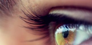 Rikthimi i shikimit tek të verbrit, vjen zbulimi i madh shkencor