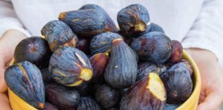 A e dini se fiku nuk është taman frut?! (teknikisht)