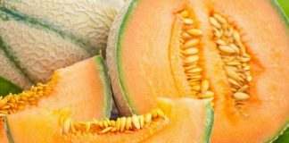 E thotë shkenca: Farat e pjeprit ndihmojnë për rigjenerimin e veshkave