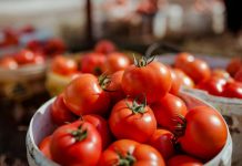 Eksportet “Made in Albania”, OBT: Shqipëria kryeson me produktet bujqësore dhe fasonerinë