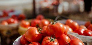 Eksportet “Made in Albania”, OBT: Shqipëria kryeson me produktet bujqësore dhe fasonerinë