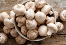 Studimi: Ja efektet e jashtëzakonshme të kërpurdhave