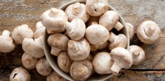 Studimi: Ja efektet e jashtëzakonshme të kërpurdhave