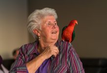 ‘Terapia e përkëdheljes’, si ndikojnë papagallët tek të moshuarit (Studimi)