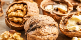 Studimi i ri/ Magjia e arrave në shëndetin tonë, ja përfitimet