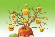 Edukimi financiar futet si lëndë me zgjedhje në shkollat e mesme në Shqipëri