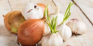 Studimi/ Qepa dhe hudhrat ulin rrezikun nga kanceri i gjirit