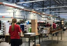 Kush janë qarqet më punëtore në Shqipëri?