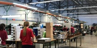 Kush janë qarqet më punëtore në Shqipëri?