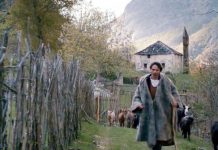 Filmi shqiptar ”Streha mes reve” nis sot shfaqjen në 100 kinematë gjermane