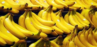 Mrekullia e bananeve, ja përfitimet e jashtëzakonshme nëse konsumoni dy çdo ditë