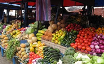 Shqipëria, 227.5 milionë euro eksporte bujqësore në 6 muaj