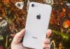 iPhone SE2, Apple gati për modelin më të ri. Ja sa kushton