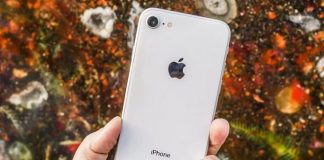 iPhone SE2, Apple gati për modelin më të ri. Ja sa kushton