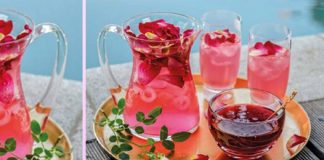 Shurupi i trëndafilit, antioksidanti i fuqishëm që do t’ju largojë stresin