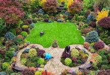 Do befasoheni/ Dy pensionistët krijojnë kopshtin magjik (Fotot)