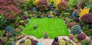 Do befasoheni/ Dy pensionistët krijojnë kopshtin magjik (Fotot)