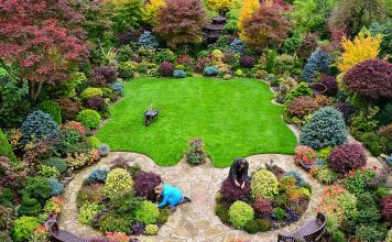 Do befasoheni/ Dy pensionistët krijojnë kopshtin magjik (Fotot)