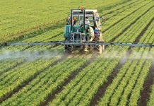 IPARD II/ Dokumentet që duhen të dorëzojnë fermerët për të përfituar deri në 25 mijë euro