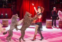 Cirku i Budapestit vjen për herë të parë në Tiranë