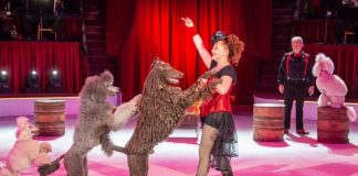 Cirku i Budapestit vjen për herë të parë në Tiranë